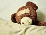 Teddybär