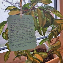 Grüße an das KMG Klinikum Kyritz