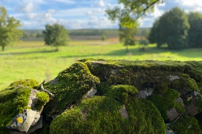 Abwechslungsreiche Ausblicke